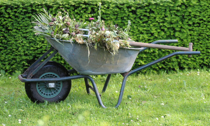 Wheelbarrow in garden