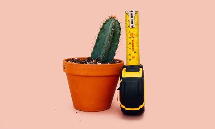 Tape Measure